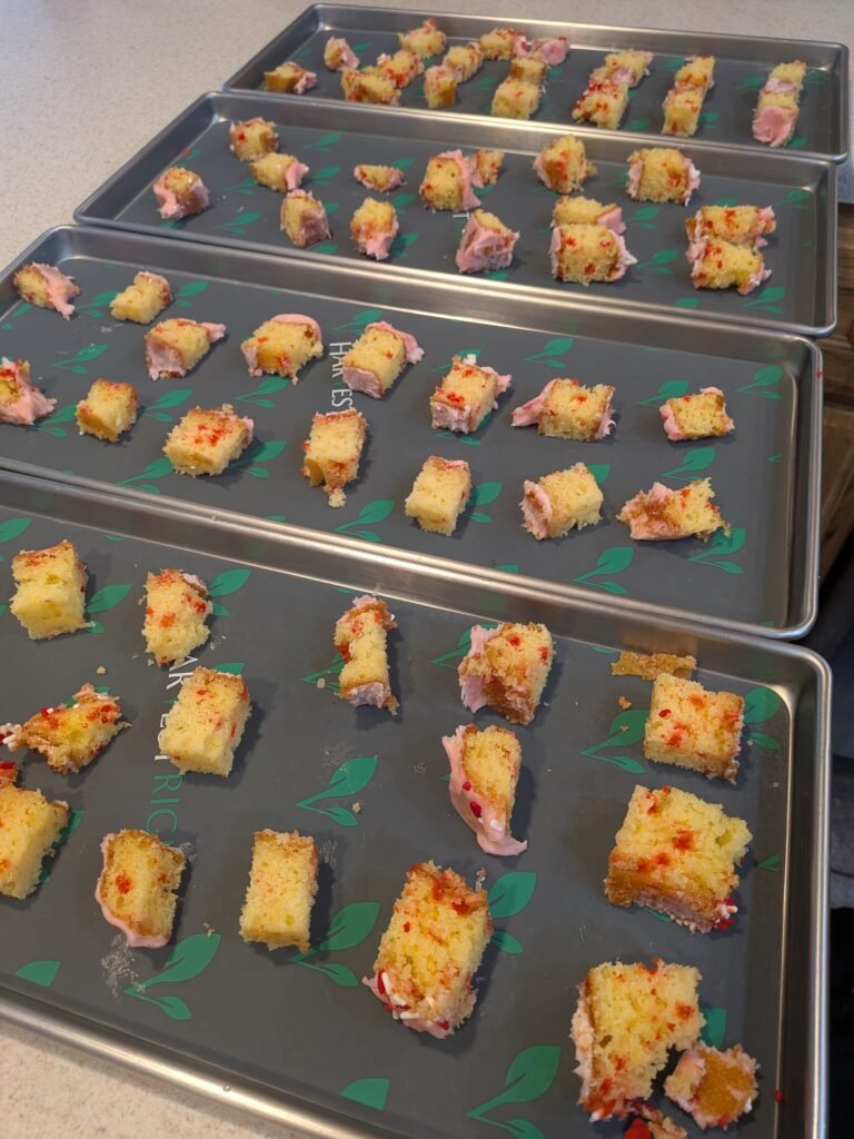 Birthday cake cut up on freeze drying trays to get freeze dried. 