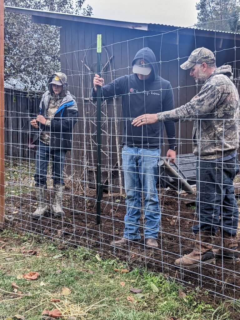 Husband and teenage and young adult son putting up a hog fence for our pigs on our homsetead.