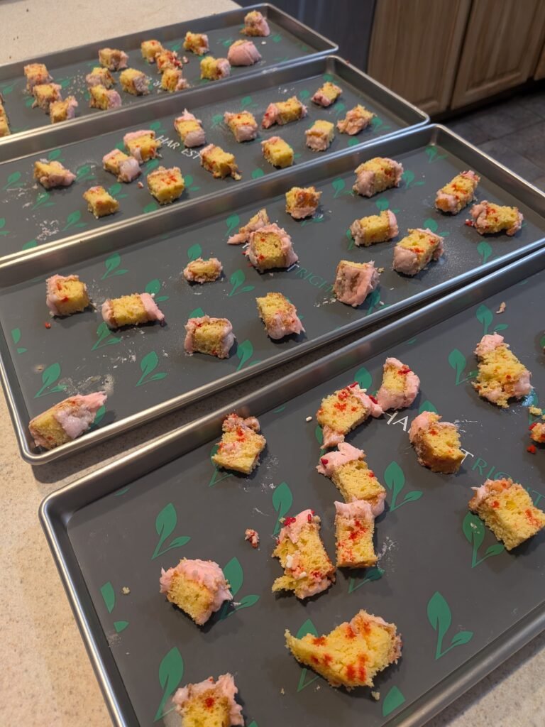 Freeze dried birthday cake for our daughter's 13th birthday.