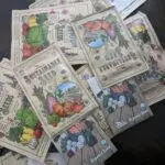 Packages of vegetable seeds for the garden.