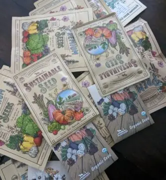Packages of vegetable seeds for the garden.