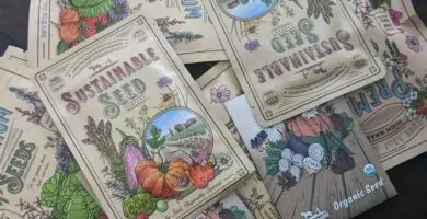 Packages of vegetable seeds for the garden.