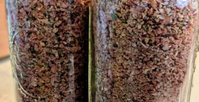 Half gallon mason jars filled with freeze-dried mason jars