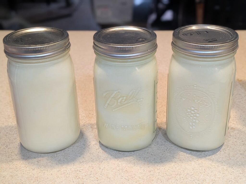 Three mason jars full of homemade yogurt made with raw milk.