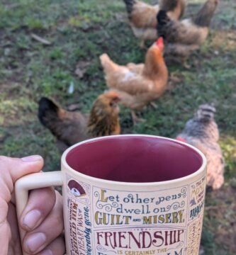 Early morning on the homestead with my Jane Austen coffee mug and the chickens