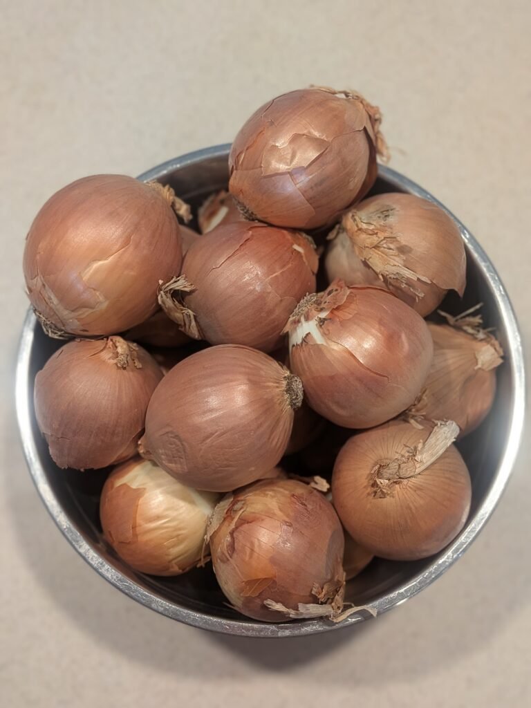 Large stainless steel bowl full of yellow onions