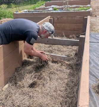 Filling and preparing a raised garden bed with logs and hay before filling with soil.