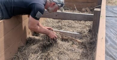 Filling and preparing a raised garden bed with logs and hay before filling with soil.