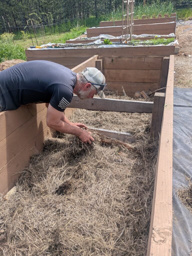 Filling and preparing a raised garden bed with logs and hay before filling with soil.