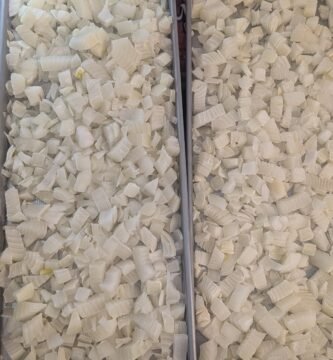 Trays full of freeze-dried diced yellow onions