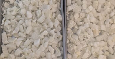 Trays full of freeze-dried diced yellow onions