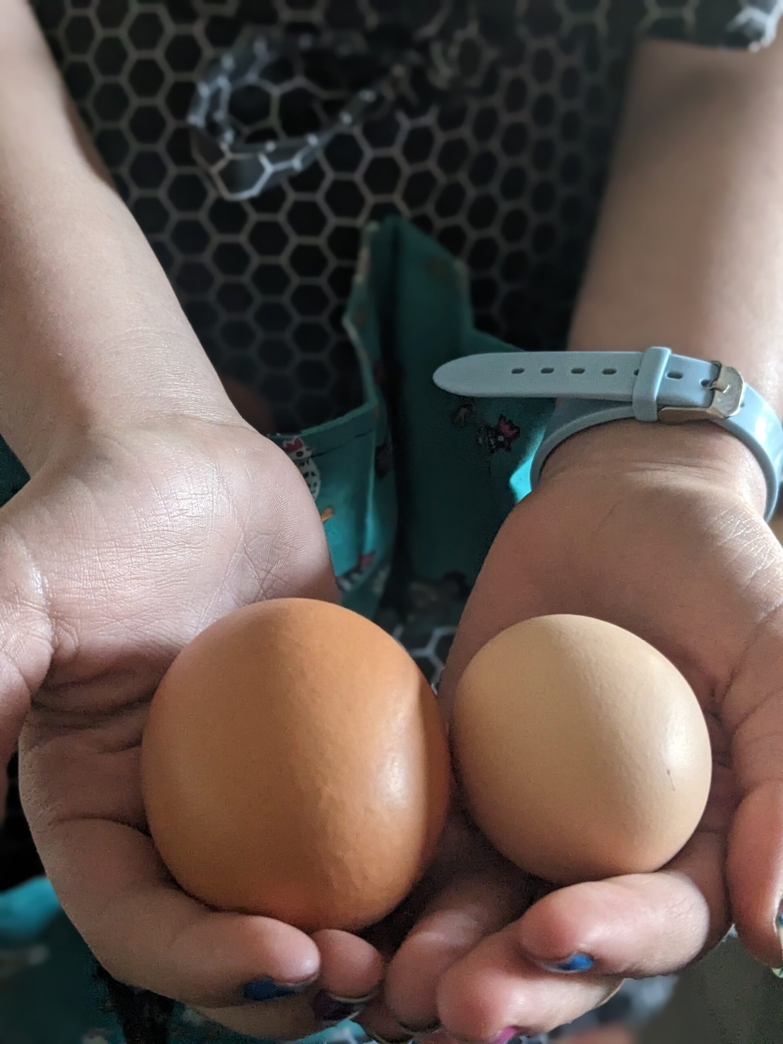 A handful of fresh chicken eggs