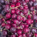 A large quantity of bing cherries