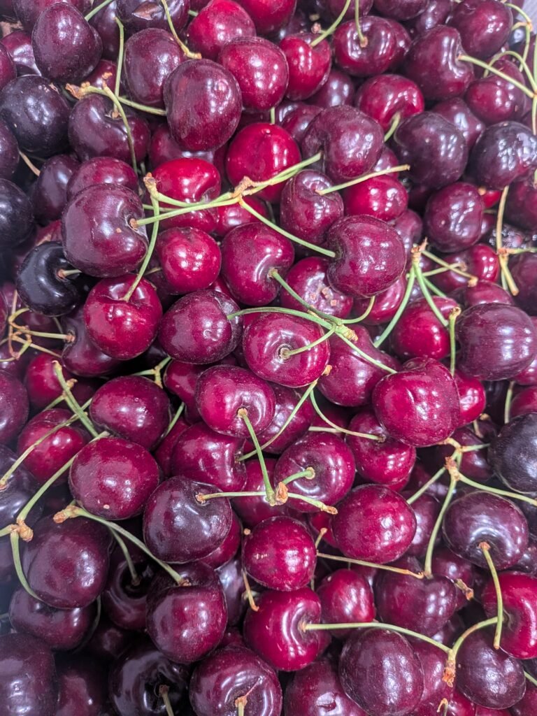 A large quantity of bing cherries