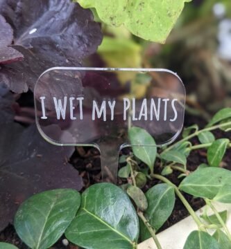 Funny garden marker for plants