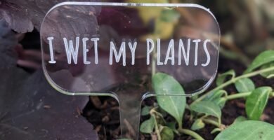 Funny garden marker for plants