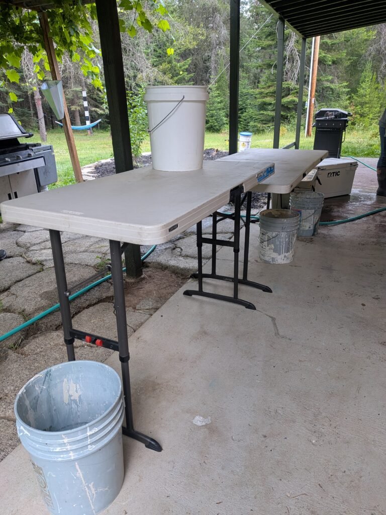 meat chickens processing setup outside