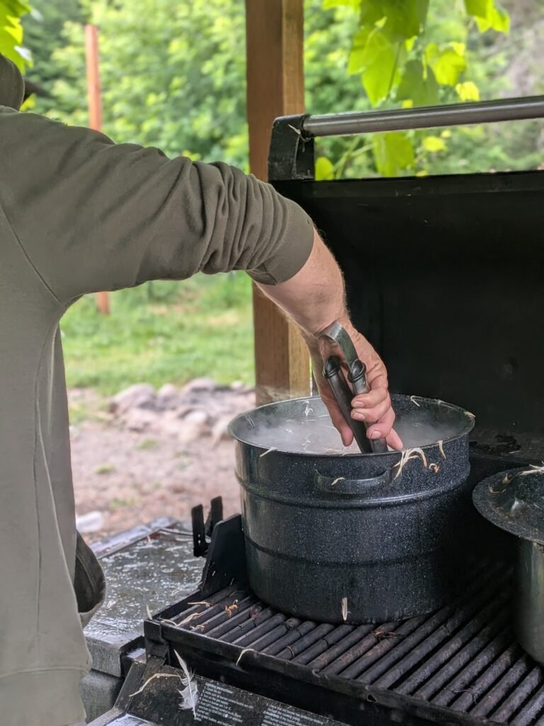 Homestead meat chicken processing
