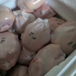 A chest freezer full of farm raised whole chickens