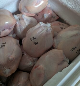 A chest freezer full of farm raised whole chickens