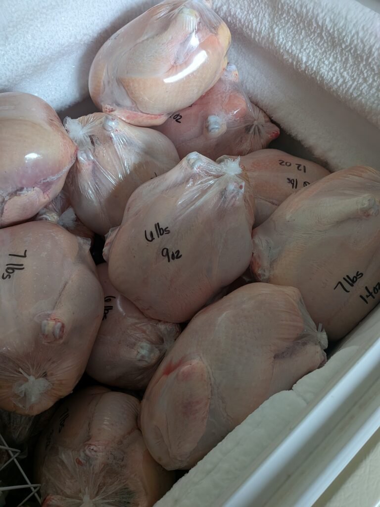 A chest freezer full of farm raised whole chickens
