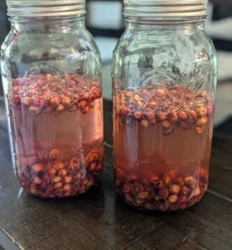 Cherry pit vinegar