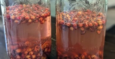 Cherry pit vinegar