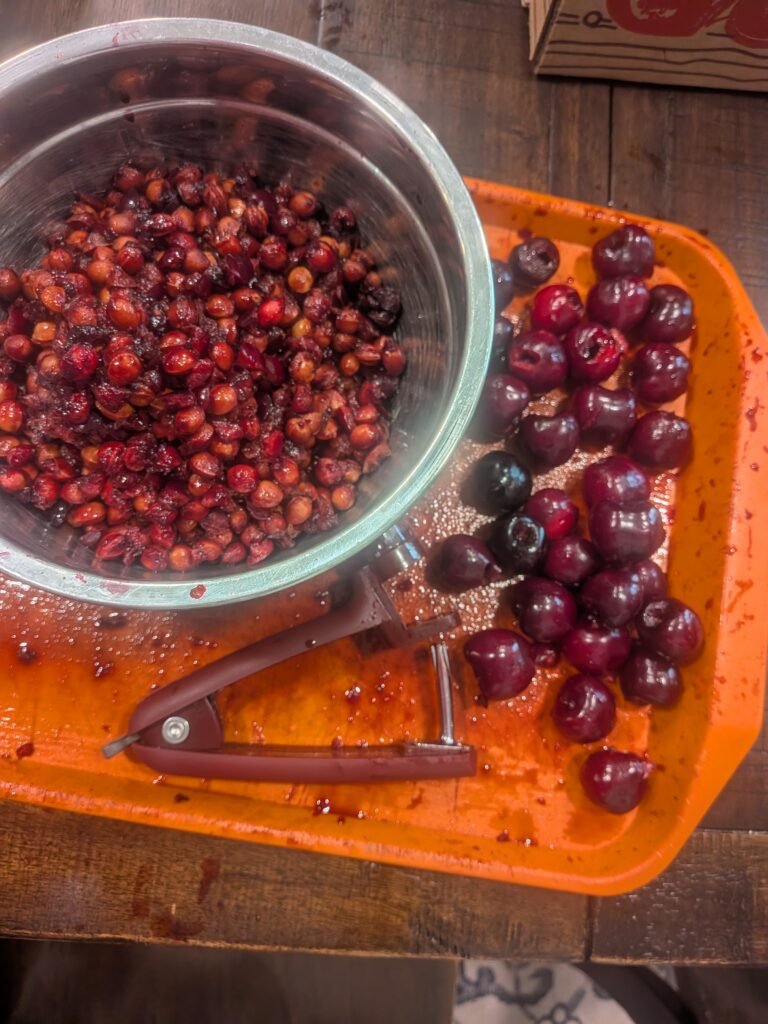 Large bowl full of cherry pits