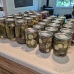 Homemade Canned Pickles