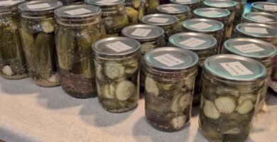 Homemade Canned Pickles