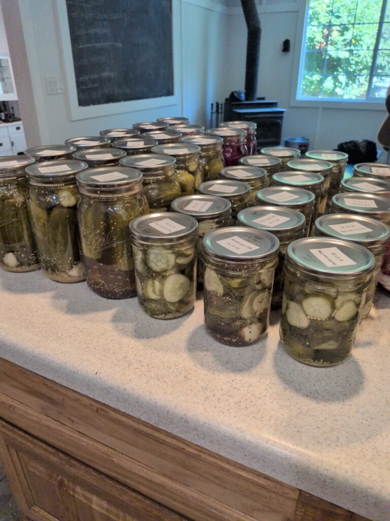 Homemade Canned Pickles