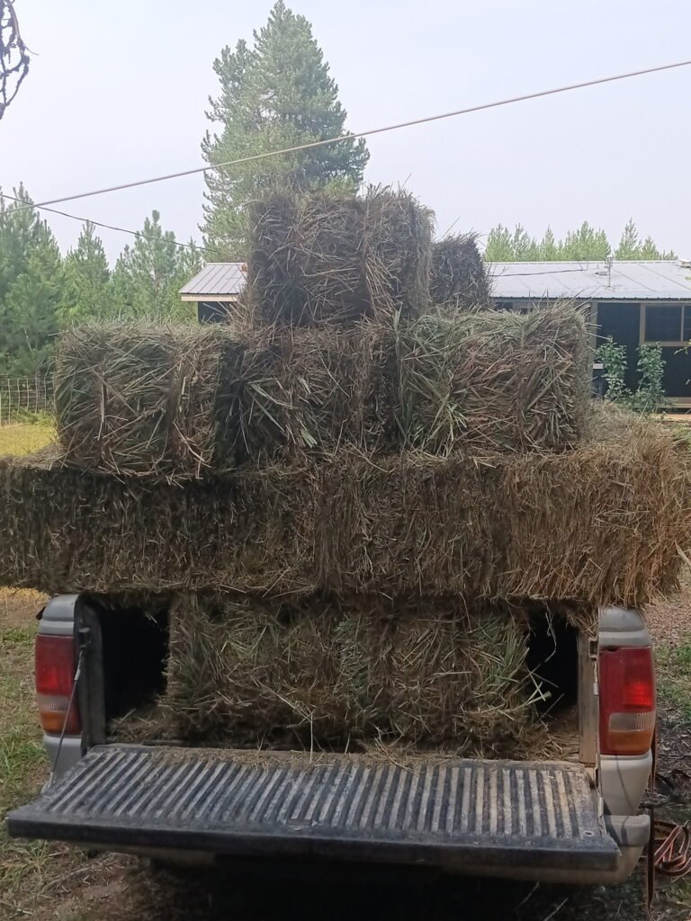 truck full of hay bales
