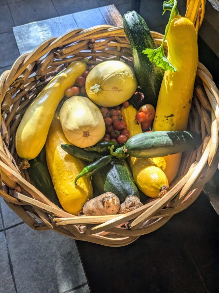 A basket full of fresh garden harvest vegetables