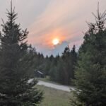 Homestead sunset