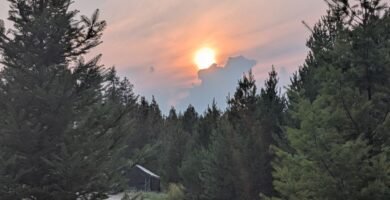 Homestead sunset