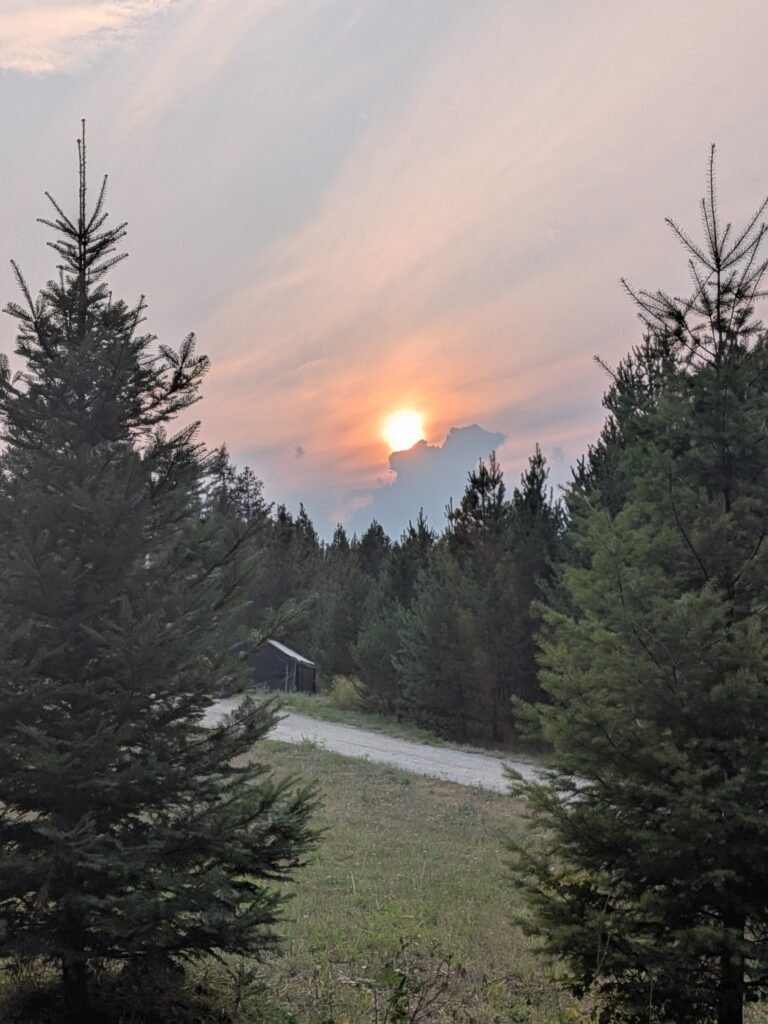 Homestead sunset