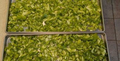 trays of chopped bell peppers