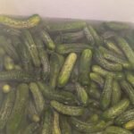 pickling cucumbers
