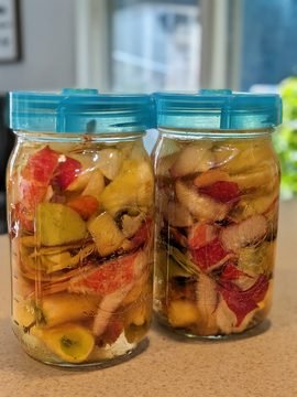 Fermenting apple scrap vinegar