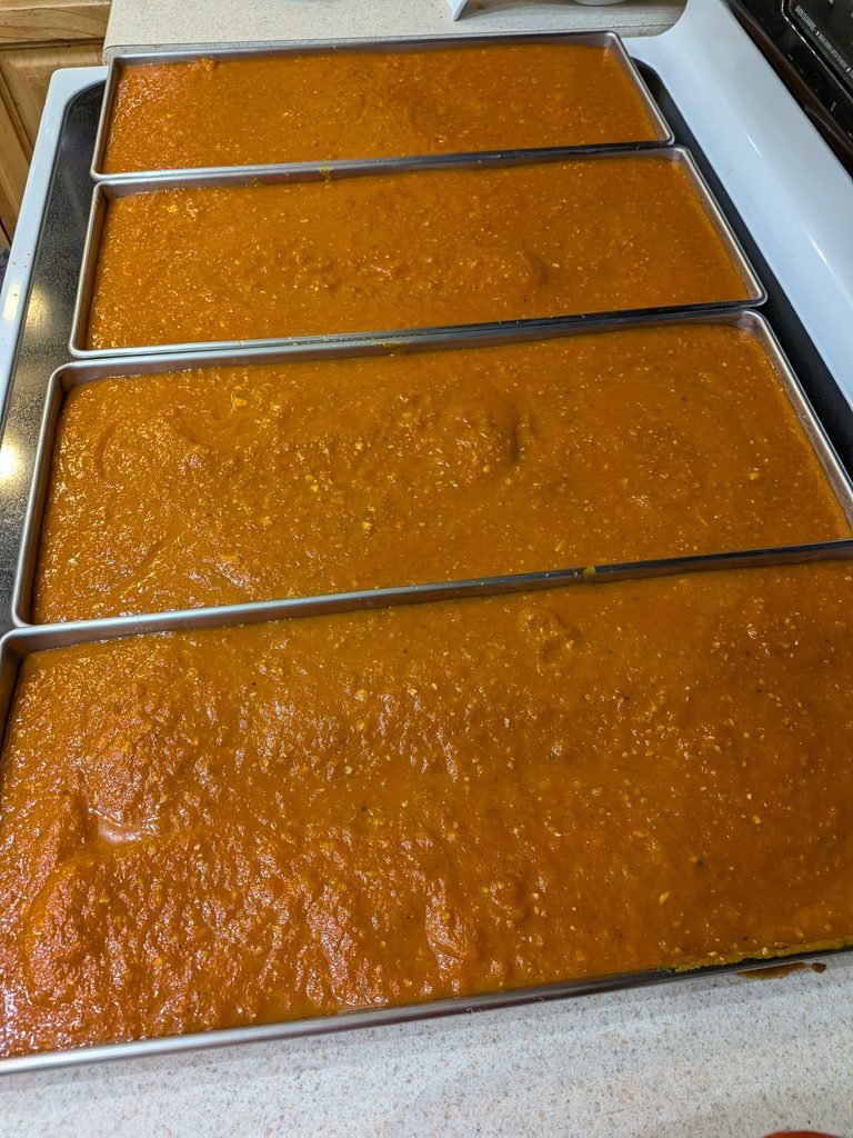Freeze-dryer trays full of homemade pasta sauce