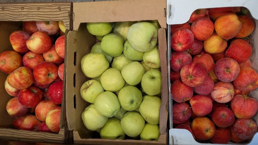 boxes of fresh apples