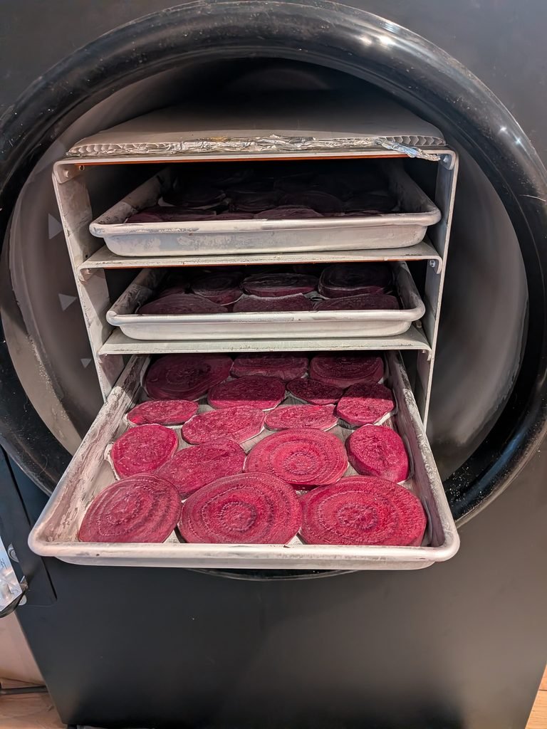Harvest Right freeze-dryer full of sliced beets