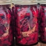 Canned pickled beets