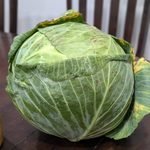 19 lb cabbage