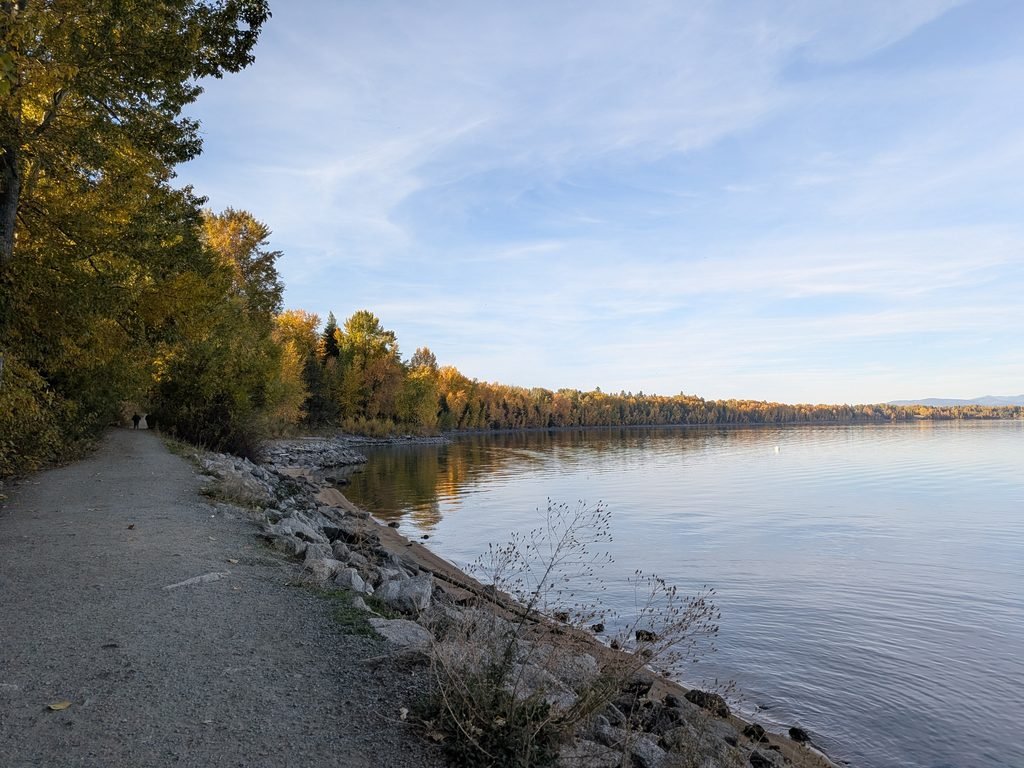 Fall leaves lining the water's edge