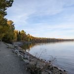 Fall leaves lining the water's edge