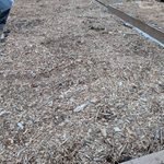 Mulched garden bed for winter