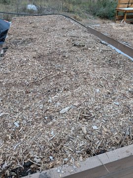 Mulched garden bed for winter